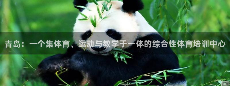 一竞技官网下载是干嘛的公司:青岛:一个集体育、运动与教学于一