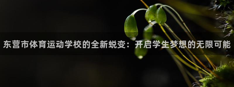 德国一竞技官方正版app集团:东营市体育运动学校的全新蜕变: